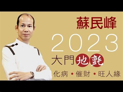 2023大門地氈顏色|【2023大門地氈顏色】2023兔年開運必看！如何用大。